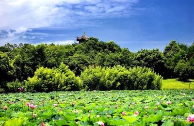 廣東2023年汽修學校熱門專業(yè)與連鎖店發(fā)展機遇